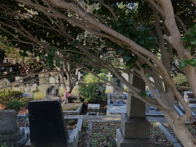 お墓　荒れる　