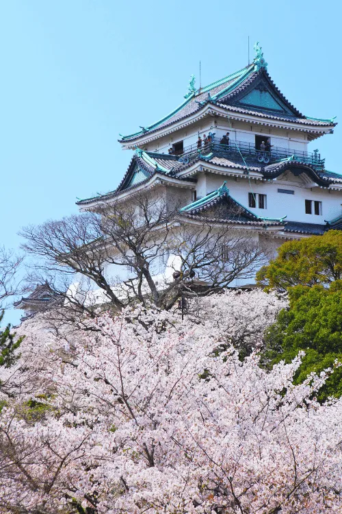 和歌山の美しい自然
